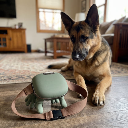 Masajeador Con Manos Para Perros